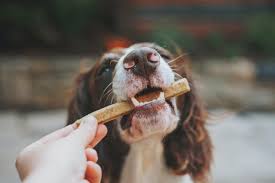 Healthy Chews